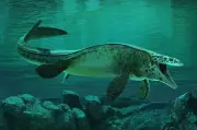 Massive marine predator crowned T. rex of the ocean and ‘a true terror of its time’
