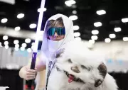 May the 4th: Why Star Wars Films and Shows Endure with Fans