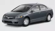 Montreal Police Seek Witnesses in Fatal Hit-and-Run Case