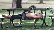 Montreal to Experience Hot Weather on Tuesday, May 19