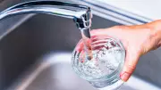 New Brunswick Should Enshrine Right to Clean Water in Law, Lawyer Says
