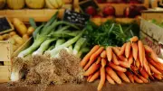 New farmers' market launching in southern Alberta in June