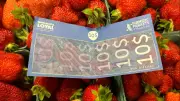 Nova Scotia Renews $10 Farmers' Market Vouchers for Students and Newcomers