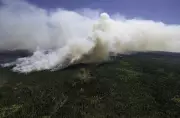 N.S. Wildfire Extinguished After Nearly 10 Months