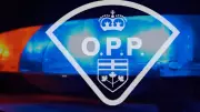 One Killed in Single-Vehicle Crash Near Parry Sound, OPP Says