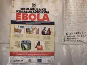 Ontario Man Tests Negative for Ebola; No New Hantavirus Cases in Canada