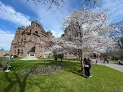 Ontario Rejects Alternate Work Requests as Unions Seek FIFA Accommodations