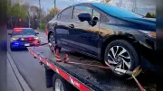 Ottawa G2 Driver Stopped for Stunt Driving Third Time in Five Months