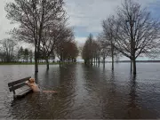 Ottawa Ice Dippers Embrace Britannia Flooding for Extended Plunge Season