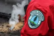 Out-of-Control Wildfire on Vancouver Island Sparks Alarm