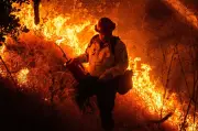 Over 17,000 Evacuated as Wildfire Threatens Homes in Southern California