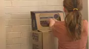 P.E.I. School Wins Sixth Battery Blitz as Recycling Rates Climb Nationwide