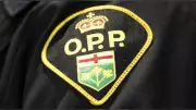 Police Chase Suspect Through Northern Ontario Woods After Mansfield Hit-and-Run