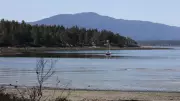 Police Investigate Diver Death in British Columbia's Gulf Islands
