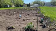 Prairies Face 'Anomalously Warm' Heat Wave, Raising Wildfire Fears