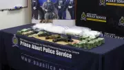 Prince Albert Police Arrest 10 in Month-Long Drug Investigation