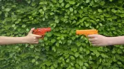 RCMP Warns Against Risky 'Senior Assassin' Student Game in N.B.