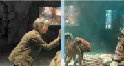 Remarkably Bright Creatures: Sally Field and Octopus Charm Emmy Voters