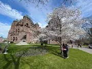 Remote work requests facing 'blanket' rejections: Ontario civil servant unions
