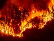 Report urges Canada to create government-backed disaster reinsurance scheme