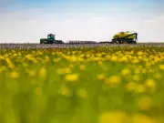 Rising Fertilizer Costs Threaten to Wipe Out Farm Profits and Growers