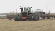 Rising Input Costs Challenge Southern Alberta Farmers During Seeding