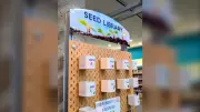 Seed Library Returns to Barrie Public Library for 2026 Season