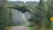 Severe Storm in Mattawa Knocks Out Power, Downs Trees and Hydro Poles