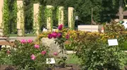 Shakespearean Gardens in Stratford Celebrates 90 Years of Botanical Bard