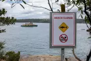 Shark Attack Kills Spearfishing Diver Off Australia's Rottnest Island