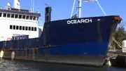 Sharks as Ocean Sensors: A New Tool for Hurricane Research