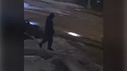 Sleeping Child Narrowly Missed by Gunfire in Edmonton, Police Hunt Shooter