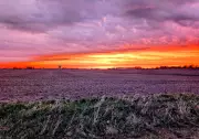 Southern Ontario Weather Swings from Heat Warnings to Frost Advisory