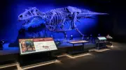 Sue the T. rex Experience Roars into Calgary's Telus Spark Science Centre