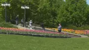 Sunny Friday in Ottawa, but Race Weekend may see rain showers