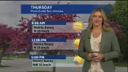 Sunny Stretch Ahead: London Weather Forecast Promises Comfortable Temps