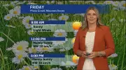 Sunshine and Warm Weather Expected Across Canada This Weekend