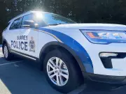 Surrey Traffic Stop Leads to Loaded Gun Charges for 24-Year-Old