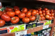 Tomatoes Become Latest Symbol of America's Affordability Squeeze