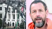 Trump's UFC Fight Night: Celeb Guests Include Sandler, Brady, The Rock