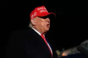 US Small Businesses Struggle Under Trump's Tariff Whiplash