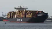 U.S. Tariff Refunds to Start May 12, CBP Says, a Day Later Than Expected