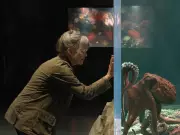 Vancouver Aquarium Octopus Inspires New Netflix Film 'Remarkably Bright Creatures'