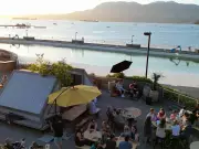 Vancouver's Kitsilano Pool to Open Mid-June with Future Uncertain