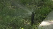 Waterloo Region Invests in Water Efficiency Programs Amid Capacity Shortage