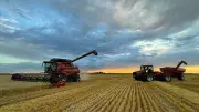 Wet Weather Delays Spring Seeding in Manitoba Farms