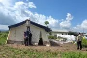 WHO Warns of Ebola Outbreak Scale in Congo, 131 Dead