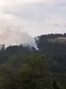 Wildfire Near Port Alberni Forces Emergency Operations Centre Activation