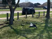 Winnipeg Driver Ejected, Airlifted After Crash: Police