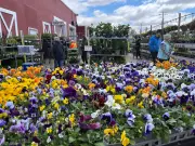 Winnipeg Garden Centres Cut Seasonal Staff Amid Slow Demand